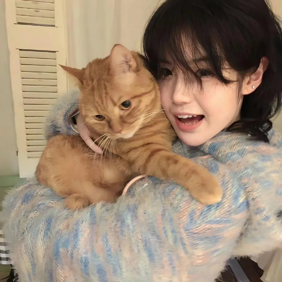 威尔和格蕾丝第五季